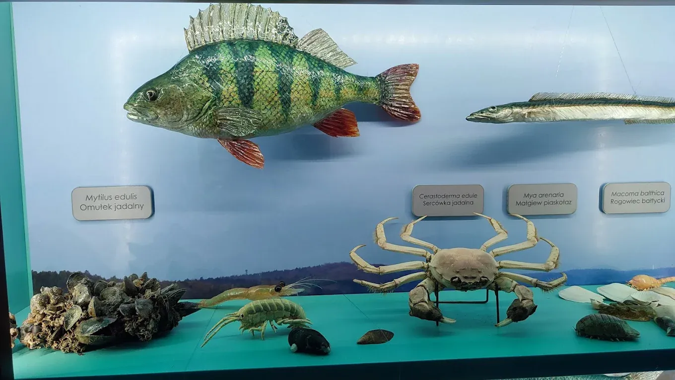 Muzeum Fauny i Flory Morskiej i Śródlądowej w Jaworzu